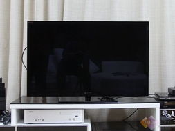 不只是甜蜜 從一臺液晶電視，細數婚姻生活的多重維度